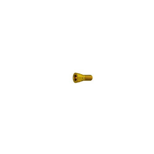 NP Conical Implant Cover Screw | GoldenDent