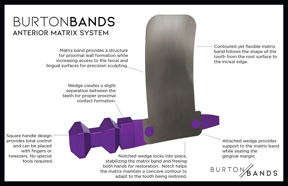 BurtonBands Anteriors banner